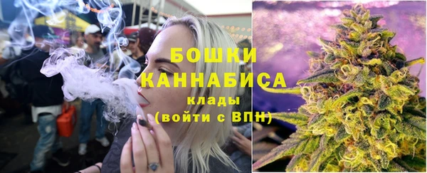 сатива Навашино