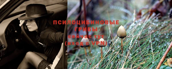 сатива Навашино
