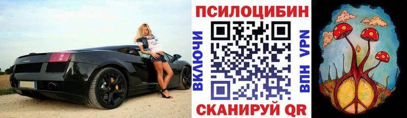 Галлюциногенные грибы Magic Shrooms  Тында 
