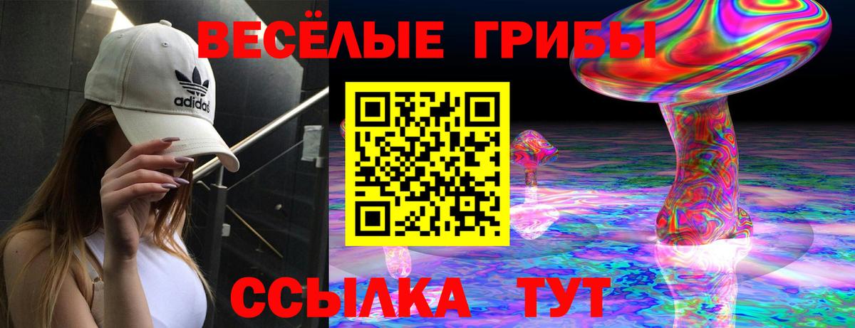 Галлюциногенные грибы Psilocybe Тында