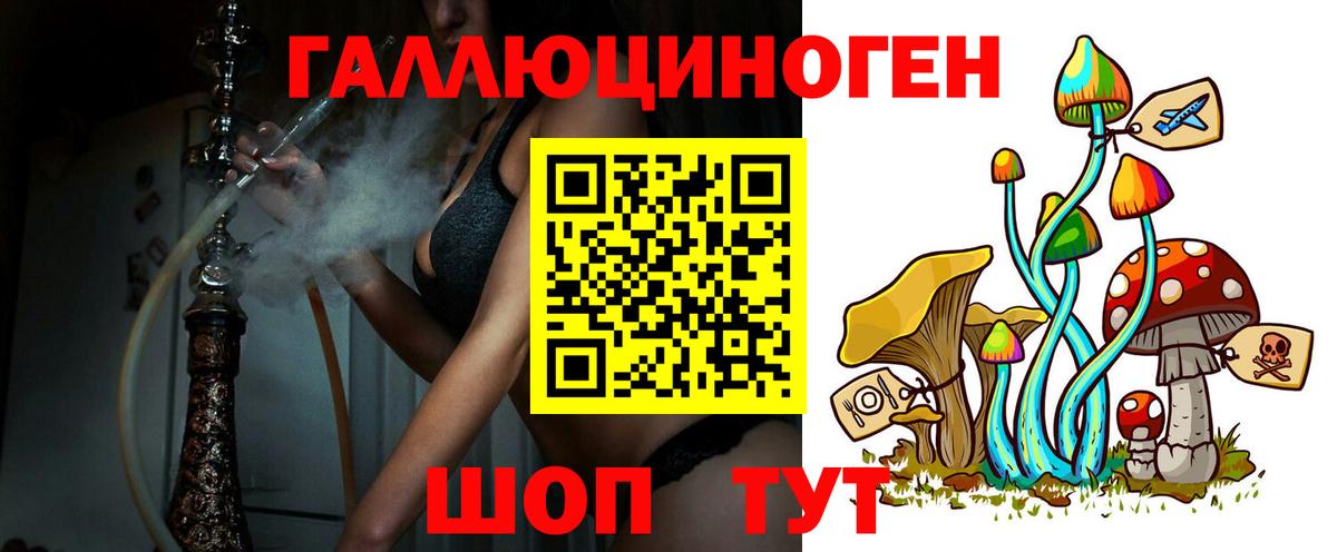 Псилоцибиновые грибы Cubensis Тында